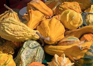 decorative pumpkin in the