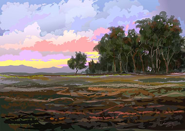 Landscape 1