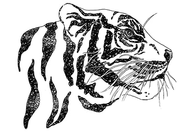 Cosmic Tiger