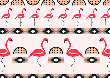 Flamingo birds