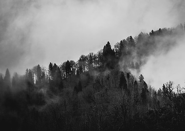 Guarding the Heart of the