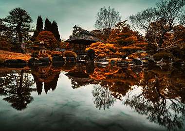 Japanese garden reflection