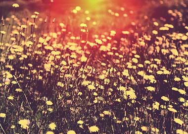 Will You Remember Me Then