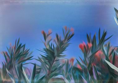 oleander on sky background