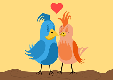 love Birds
