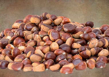 isolated fresh chestnuts