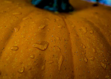 Pumpkin