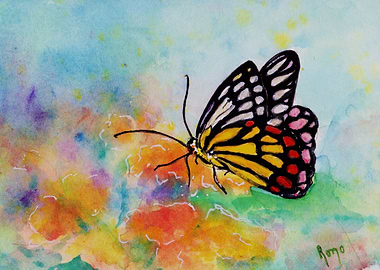 Wings of Delight Butterfly