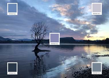 Wanaka Tree, Wanaka NZ