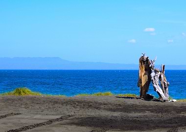Bleu Black Wood ocean
