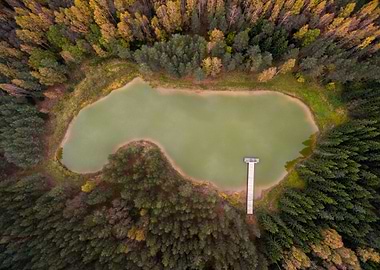 Little pond in the forest