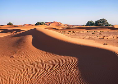 Sands of Desert