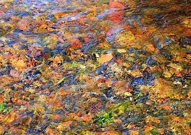 Autumn leaves and Stones