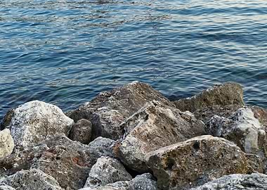 Rocky Shore
