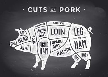 The Pig Cuts of Pork