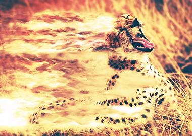 burning cheetah
