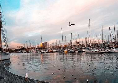 A Port in Barcelona