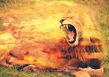 burning lion