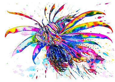 Rainbow Lionfish