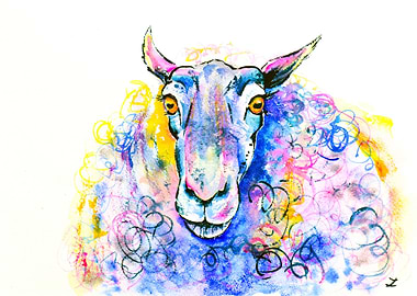 Colorful Sheep