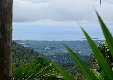 East Coast View from Trail