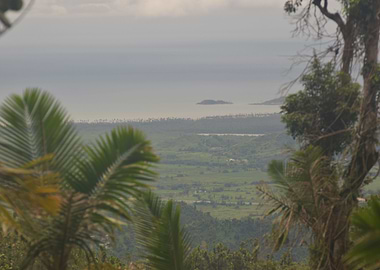 East Coast View from Trail