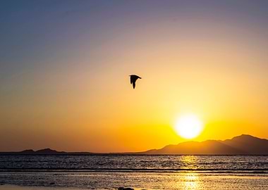 Beautiful colorful sunset