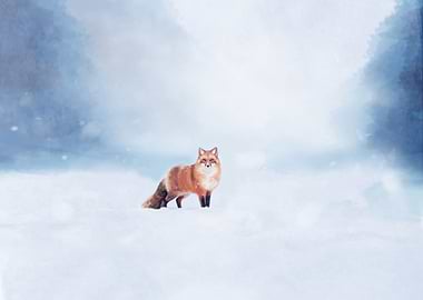 surrounded by winter