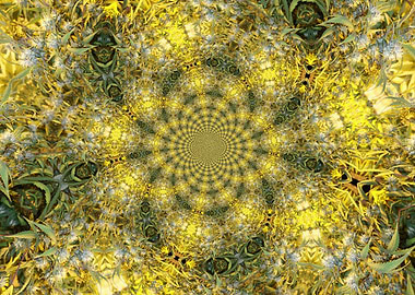 Fractal TheCannabis Vortex