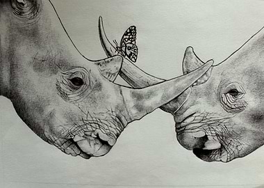 Peaceful Rhinos
