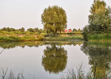 Landscape with Trees