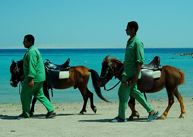 Blue Green and Brown