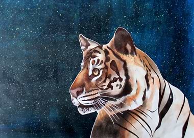 Tiger in the moonlight