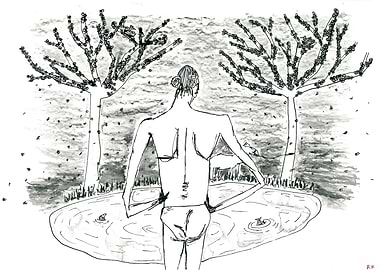 wild horses and petals