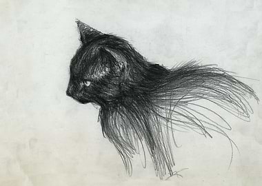 hand drawn cat