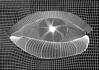 black and white mesh eye