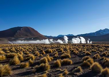El Tatio