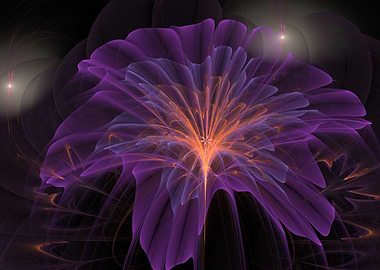 Fractal Flower IV