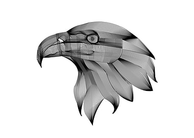 the mesh eagle head