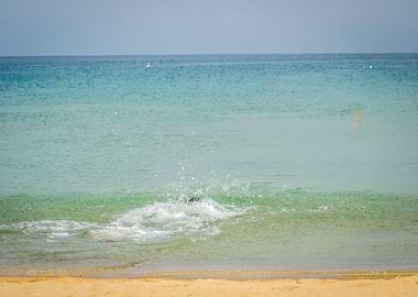 Houcima beach in summer