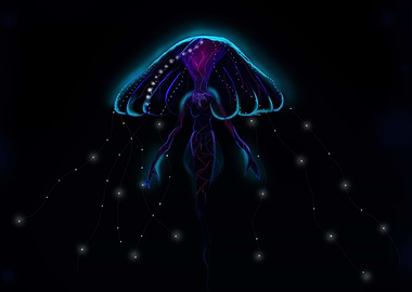 Jellyfish from Boil sea