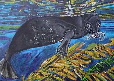 submerged marine life seal