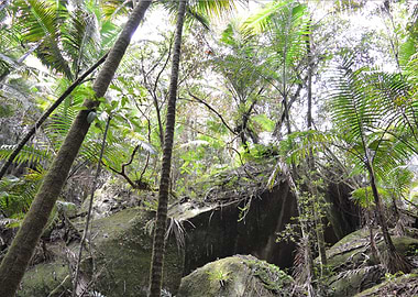 Espiritu Santo Landslide