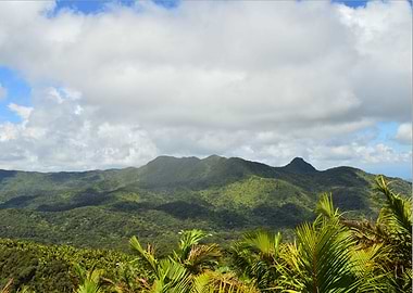 View from the East Peak