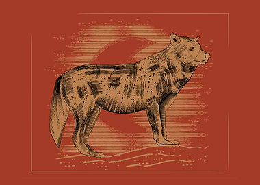 Wolf Illustration