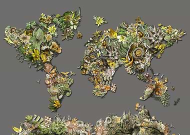 world map tropical grey