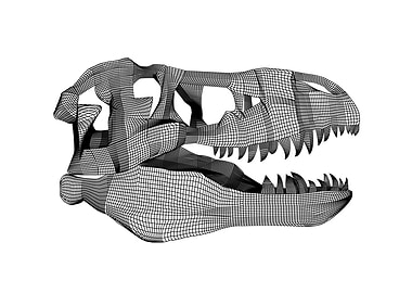 The mesh T Rex skull
