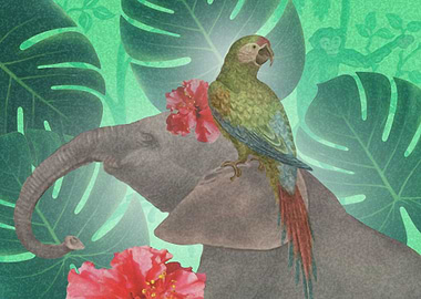 Parrot and Pachyderm