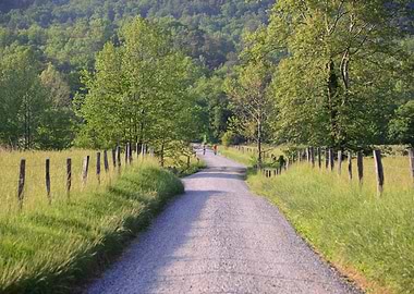 Bicycling Cades Cove