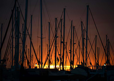 Masts at sunset